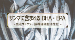 さんまに多い成分といえば、例の早口言葉のような…～　DHAとEPA　～