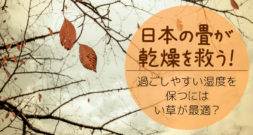 たかが乾燥、されど乾燥～乾燥には、なんと昔からの日本文化が効く!?～