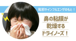 ドライノーズってご存知ですか？
