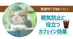 受験勉強の正念場！眠気防止に一番効くのは何？