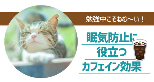 受験勉強の正念場！眠気防止に一番効くのは何？