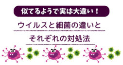 これが、実は結構違うんです～ウィルスと細菌のお話～