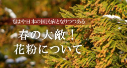 すでに日本の国民病?!　そろそろアレの大量飛散が……～花粉～