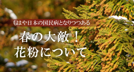 すでに日本の国民病?!　そろそろアレの大量飛散が……～花粉～