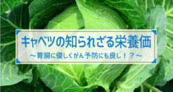 意外なほどに栄養豊富で、医薬品の名前の元にもなっています～キャベツ～