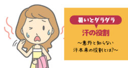 汗っかきさんには大変な季節ですが、では本来汗の役割とは？