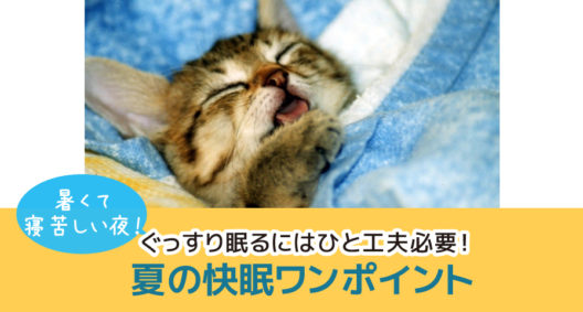 蒸し暑くて目が覚めるのは背中のせい!?夏の快眠のワンポイント