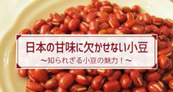 甘いぜんざい、和菓子…のイメージしかないのでは？～今が旬の豆・あずき～