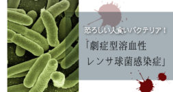 とりあえず、名前も症状も凶悪です（苦）～人食いバクテリア～