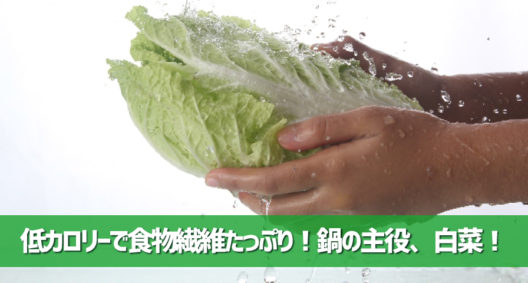 冬の野菜の代表格！実はすごく低カロリーなんです～白菜～