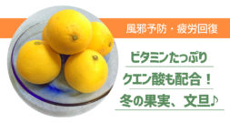 高血圧にも風邪予防にもいいと言われる冬の巨大なくだもの～文旦～