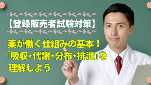 【登録販売者試験対策】薬が働く仕組みの基本！「吸収・代謝・分布・排泄」を理解しよう