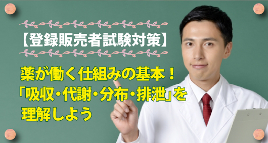 【登録販売者試験対策】薬が働く仕組みの基本！「吸収・代謝・分布・排泄」を理解しよう